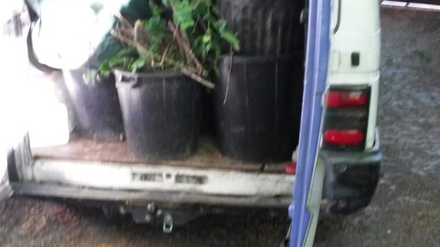 évacuation des déchets verts