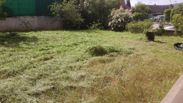 suite fauchage manuel d'un espace enherbé