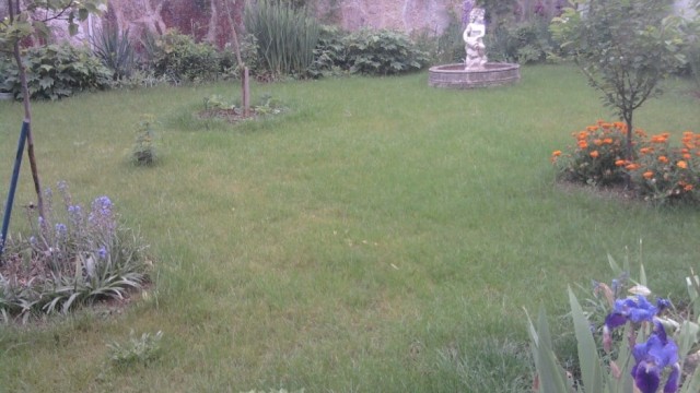 entretien pelouse et fleurs