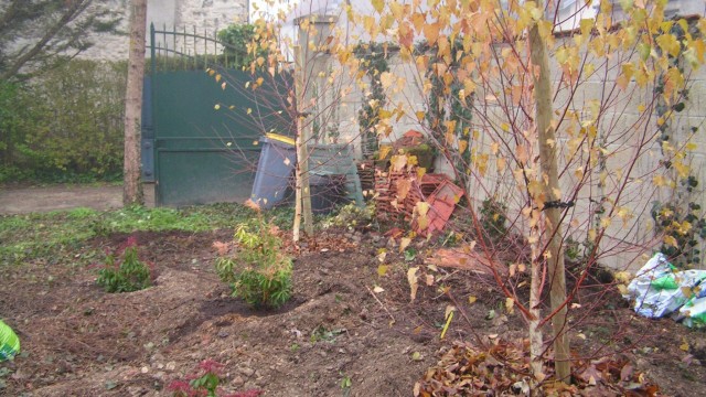 Bouleaux et Pierris paillage