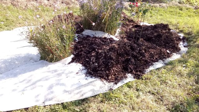 paillage écorces bois en cours après aide à pose géotextile