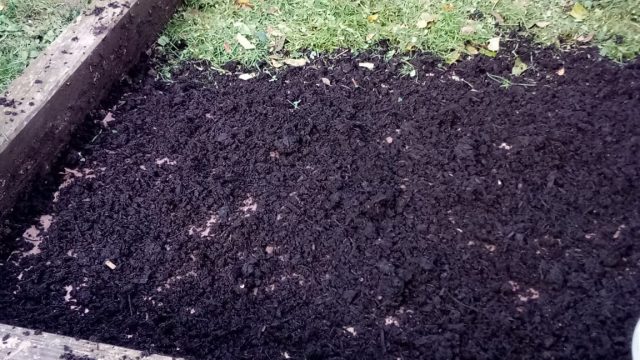 carré potager en lasagnes couche terreau puis gazon frais