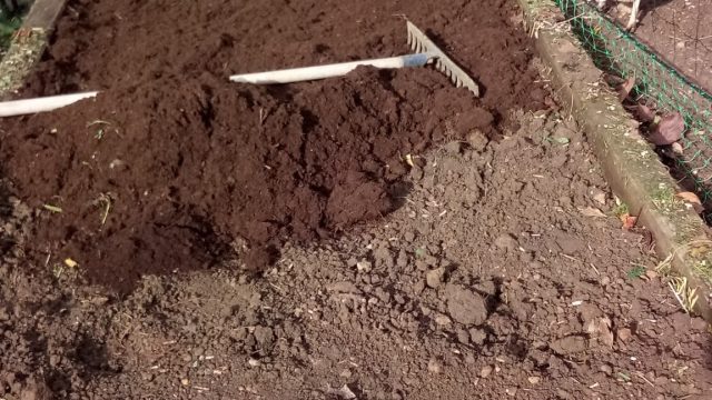 carré potager en lasagnes recouvrement terre et terreau